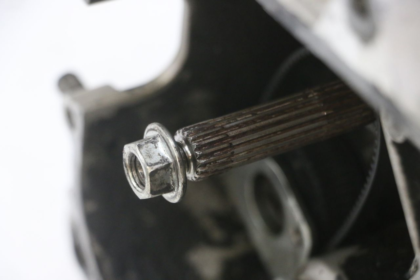 photo de ENGINE PIAGGIO NEW TYPHOON 50 (2018 - 2021)