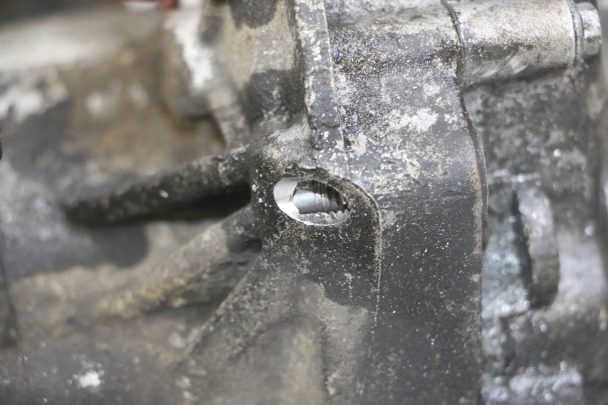 photo de ENGINE GILERA NEXUS 125 (2009 - 2013)