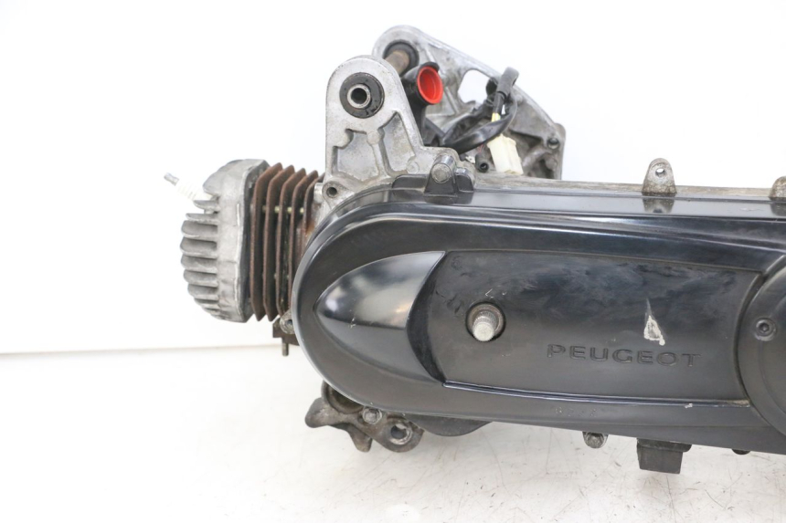 photo de ENGINE PEUGEOT CITYSTAR 2T 50 (2018 - 2021)