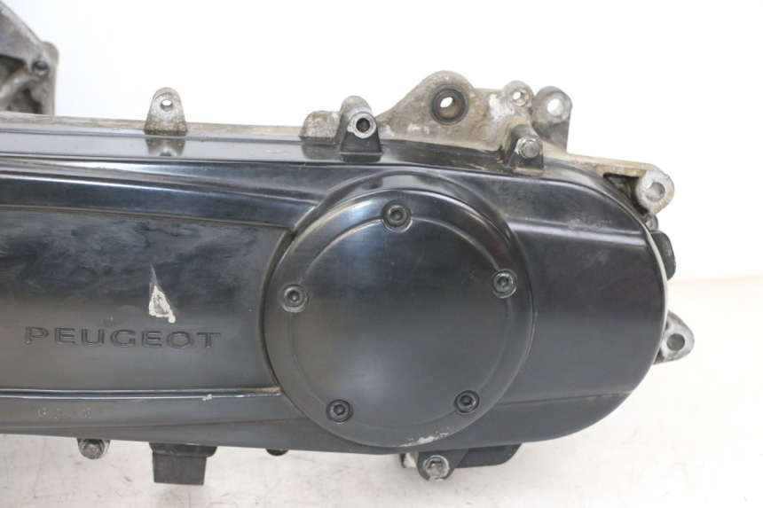 photo de ENGINE PEUGEOT CITYSTAR 2T 50 (2018 - 2021)