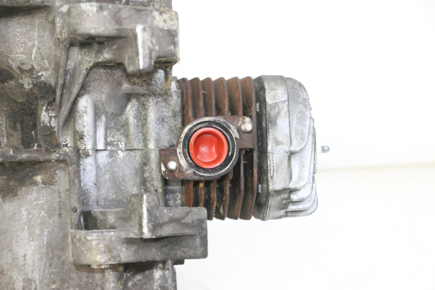 photo de ENGINE PEUGEOT CITYSTAR 2T 50 (2018 - 2021)