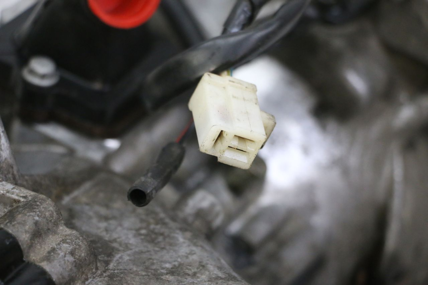 photo de ENGINE PEUGEOT CITYSTAR 2T 50 (2018 - 2021)