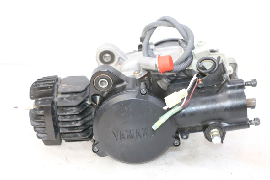 photo de ENGINE YAMAHA PW 50 (1984 - 2020)