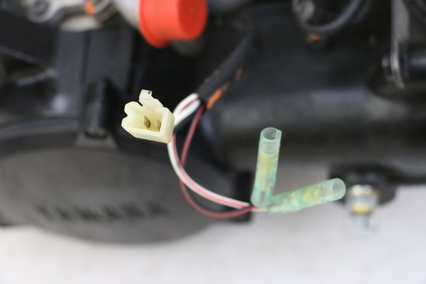 photo de ENGINE YAMAHA PW 50 (1984 - 2020)