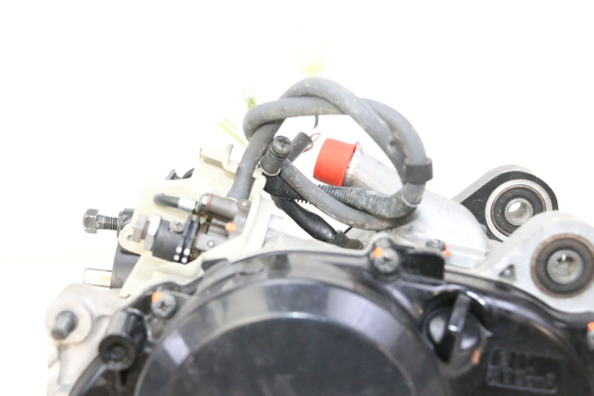 photo de ENGINE YAMAHA PW 50 (1984 - 2020)