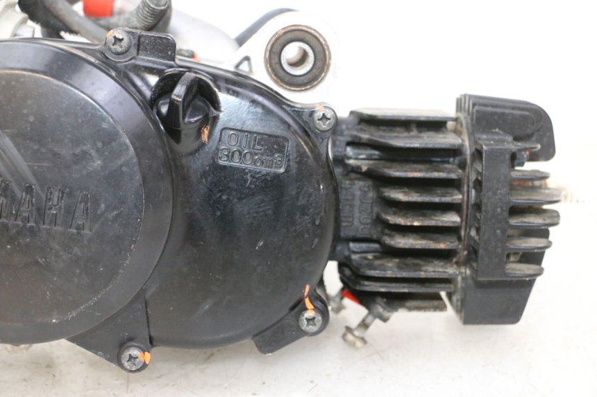 photo de ENGINE YAMAHA PW 50 (1984 - 2020)