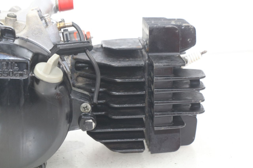 photo de ENGINE YAMAHA PW 80 (1983 - 2014)