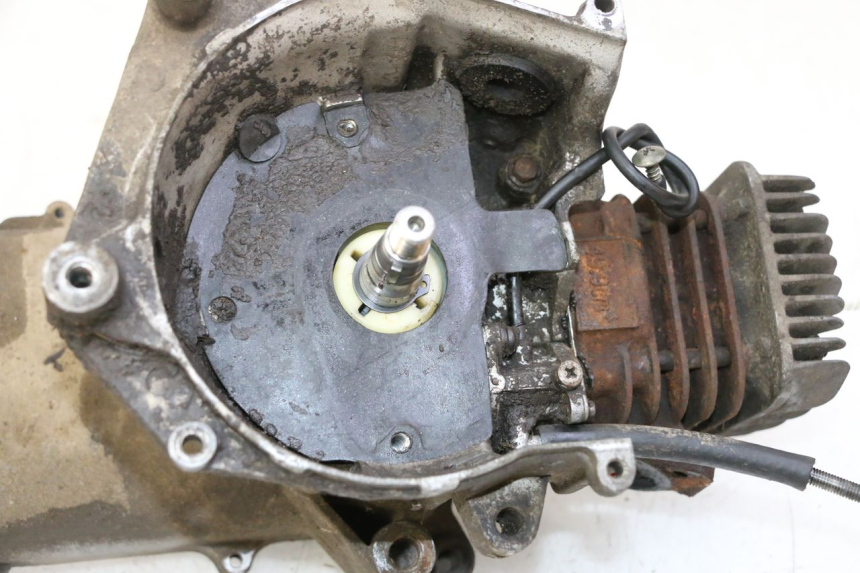 photo de ENGINE TNT MOTOR ROMA 10' 2T 50 (2011 - 2018)