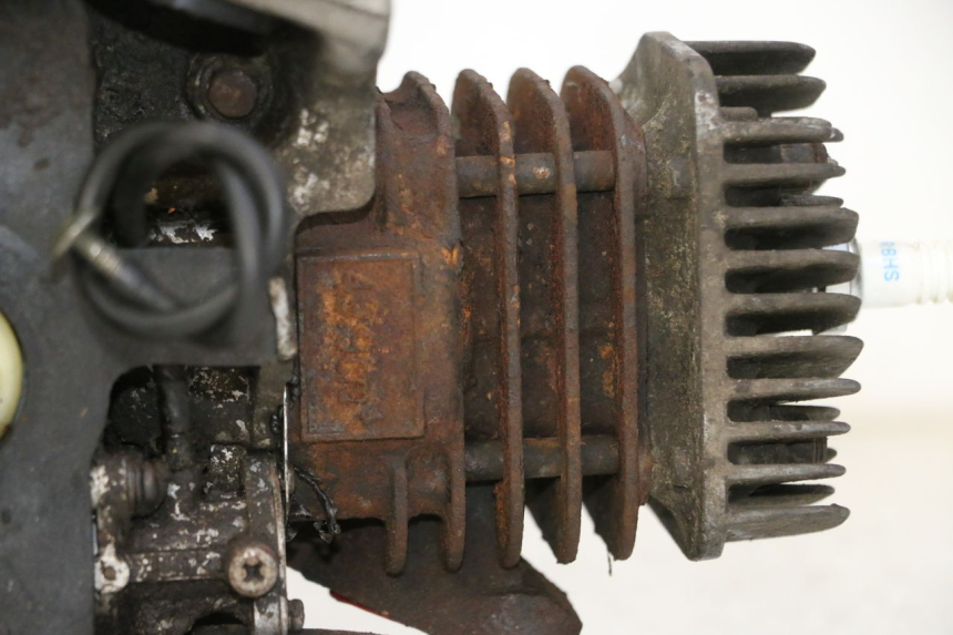 photo de ENGINE TNT MOTOR ROMA 10' 2T 50 (2011 - 2018)