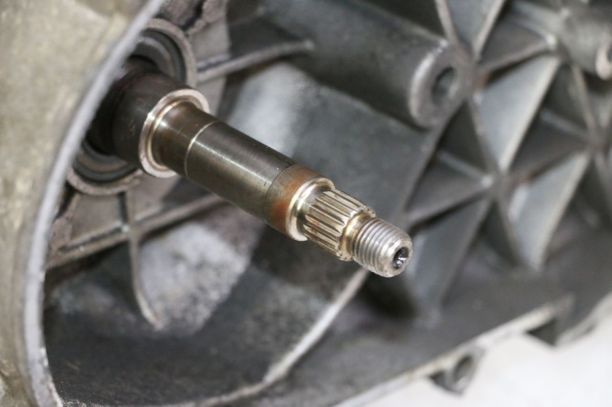 photo de ENGINE PEUGEOT SATELIS 125 (2006 - 2009)