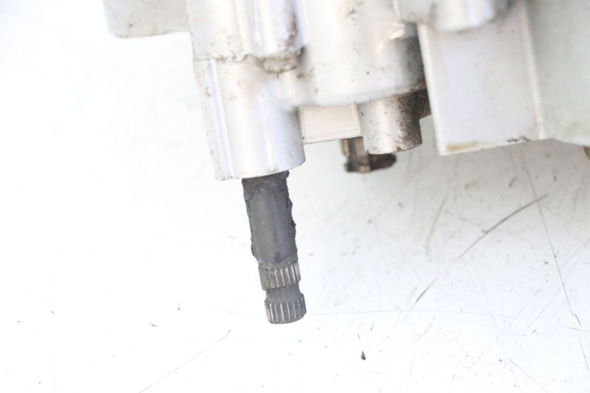 photo de ENGINE DERBI SENDA R X-TREME 50 (2006 - 2010)