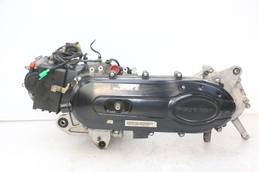photo de ENGINE PEUGEOT TWEET 4T 50 (2018 - 2020)