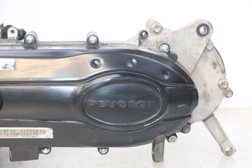 photo de ENGINE PEUGEOT TWEET 4T 50 (2018 - 2020)