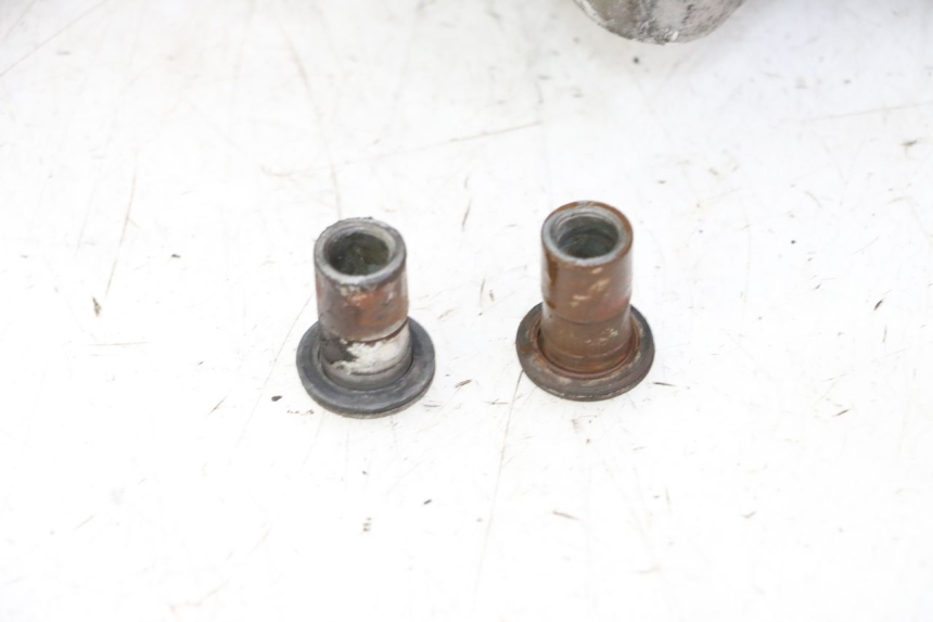 photo de ENGINE PEUGEOT TWEET PRO CARGO 50 (2018 - 2020)