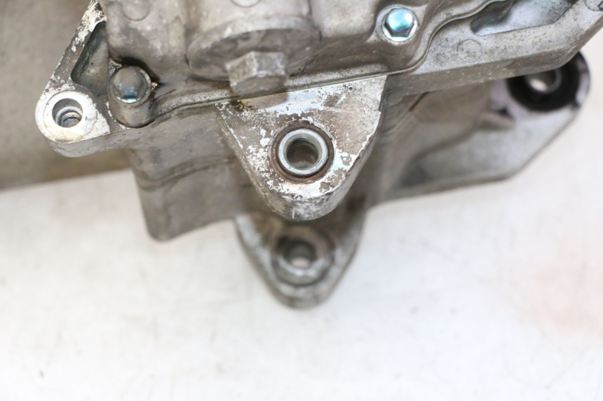 photo de ENGINE PEUGEOT TWEET PRO CARGO 50 (2018 - 2020)