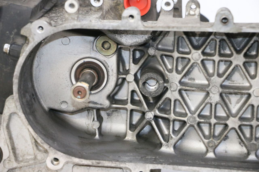 photo de ENGINE PEUGEOT TWEET PRO CARGO 50 (2018 - 2020)