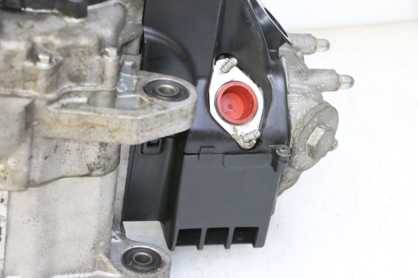 photo de ENGINE PEUGEOT TWEET PRO EFI 4T 50 (2021 - 2022)