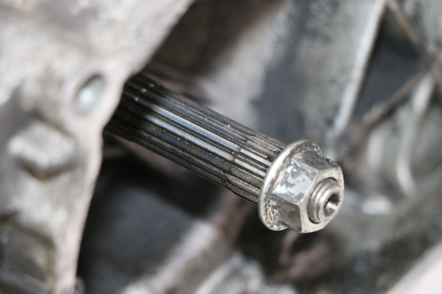 photo de ENGINE PIAGGIO VESPA S 2T 50 (2007 - 2014)