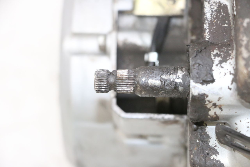 photo de ENGINE DAELIM VJ ROADWIN FI 125 (2008 - 2017) - Detailed visual inspection