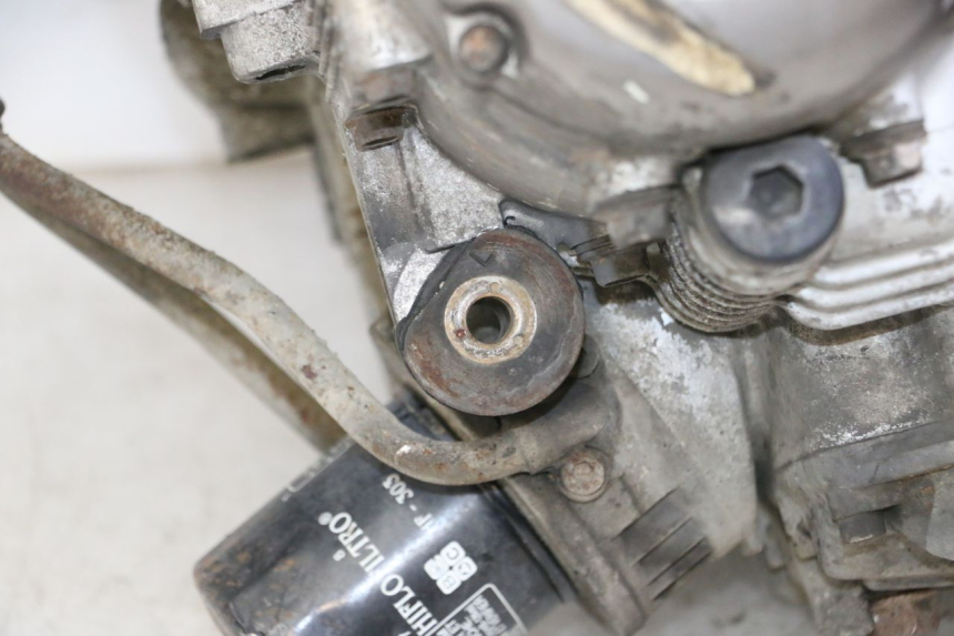 photo de ENGINE YAMAHA XJN DIVERSION 600 (2000 - 2003)