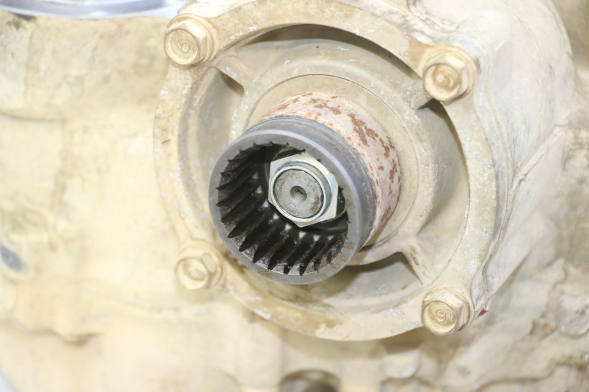 photo de ENGINE YAMAHA YFM GRIZZLY 550 (2008 - 2015)