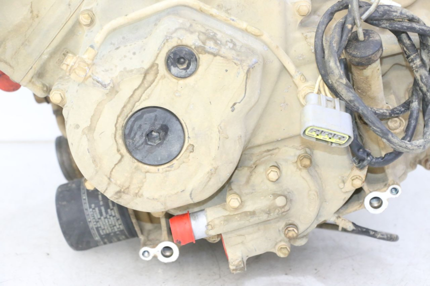 photo de ENGINE YAMAHA YFM GRIZZLY 550 (2008 - 2015)