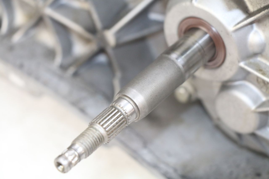 photo de ENGINE PIAGGIO ZIP 2T 50 (2009 - 2019)