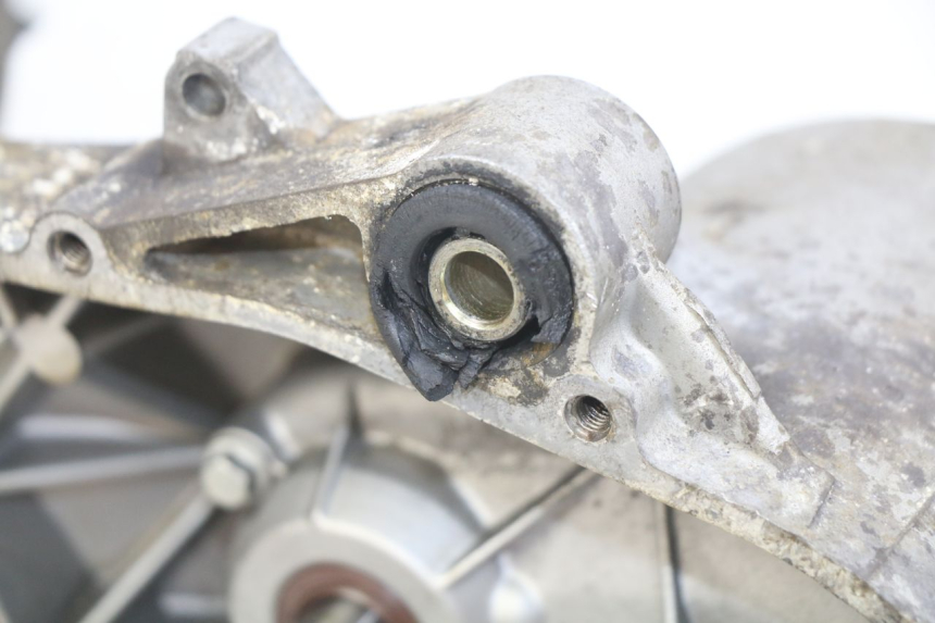 photo de ENGINE PIAGGIO ZIP 2T 50 (2009 - 2019)