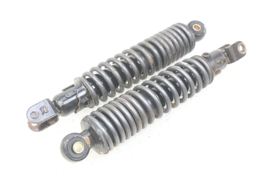 photo de REAR SHOCK ABSORBER PAIR ECCITY ARTELEC 670 1 (2013 - 2017)