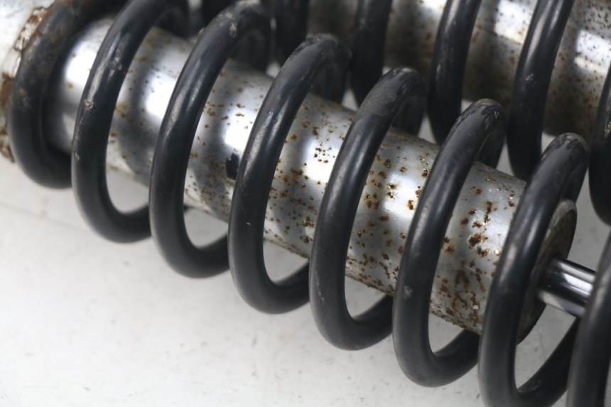 photo de REAR SHOCK ABSORBER PAIR DAELIM S3 125 (2010 - 2017)