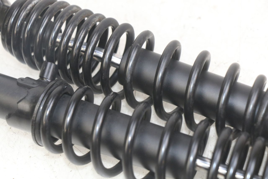 photo de REAR SHOCK ABSORBER PAIR PEUGEOT TWEET 125 (2018 - 2021)