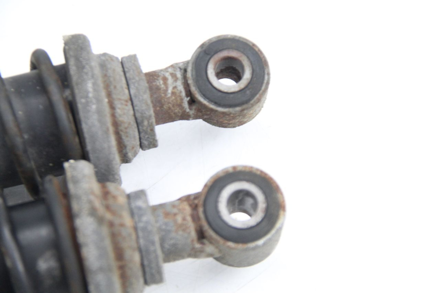 photo de REAR SHOCK ABSORBER PAIR PIAGGIO X9 EVOLUTION 125 (2003 - 2007)