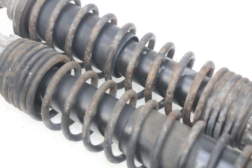 photo de REAR SHOCK ABSORBER PAIR PIAGGIO X9 EVOLUTION 125 (2003 - 2007)