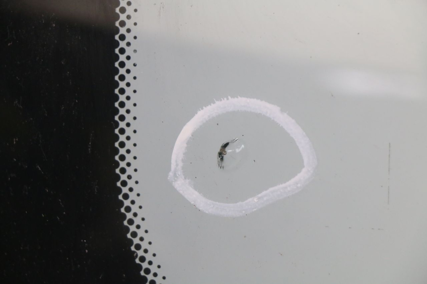 photo de WINDSCREEN BMW C1 125 (2000 - 2003)