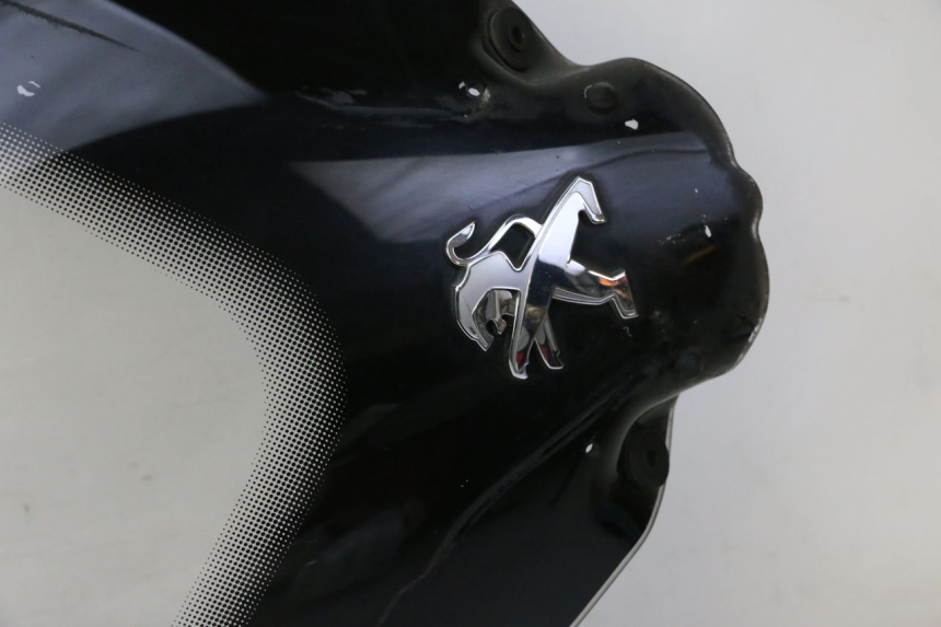 photo de WINDSCREEN PEUGEOT SATELIS 125 (2010 - 2012)