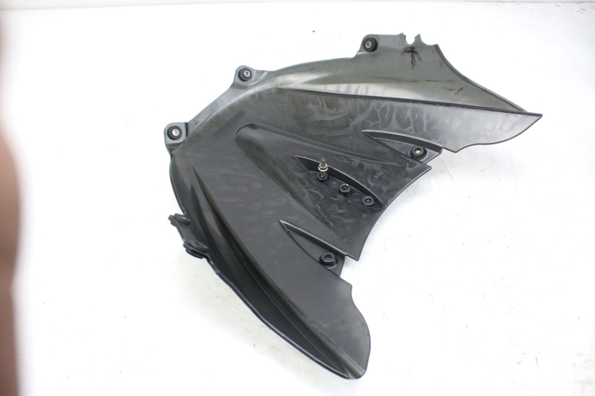 photo de WINDSCREEN PIAGGIO X9 EVOLUTION 125 (2003 - 2007)