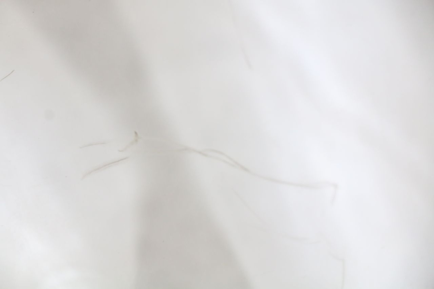 photo de WINDSCREEN YAMAHA YP MAJESTY 125 (2007 - 2010)