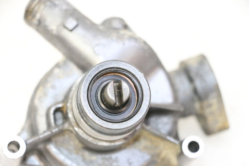 photo de WATER PUMP TRIUMPH SPRINT 900 (1995 - 1998)