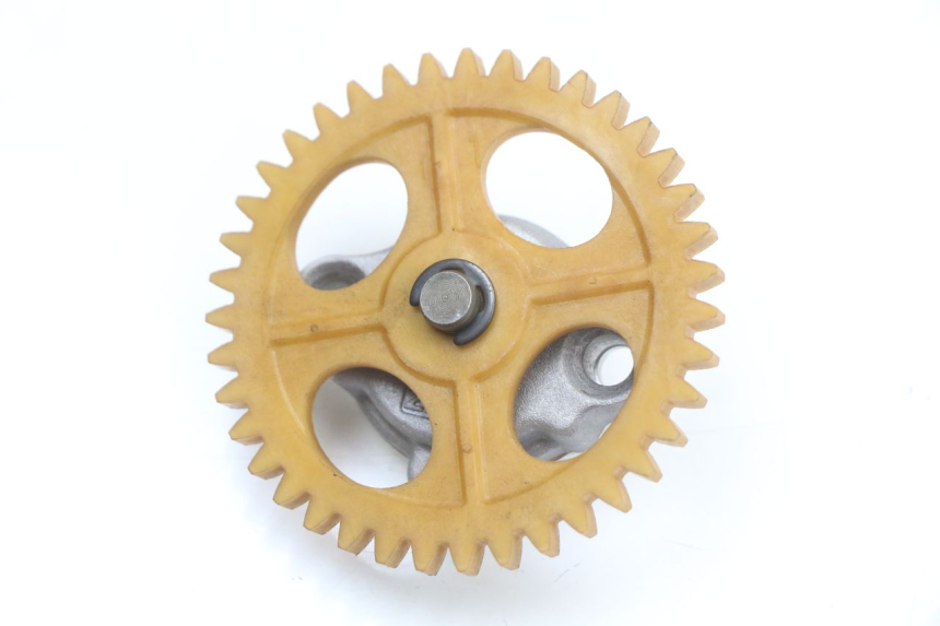 photo de OIL PUMP LONGJIA EASY MAX 125 (2020 - 2024)