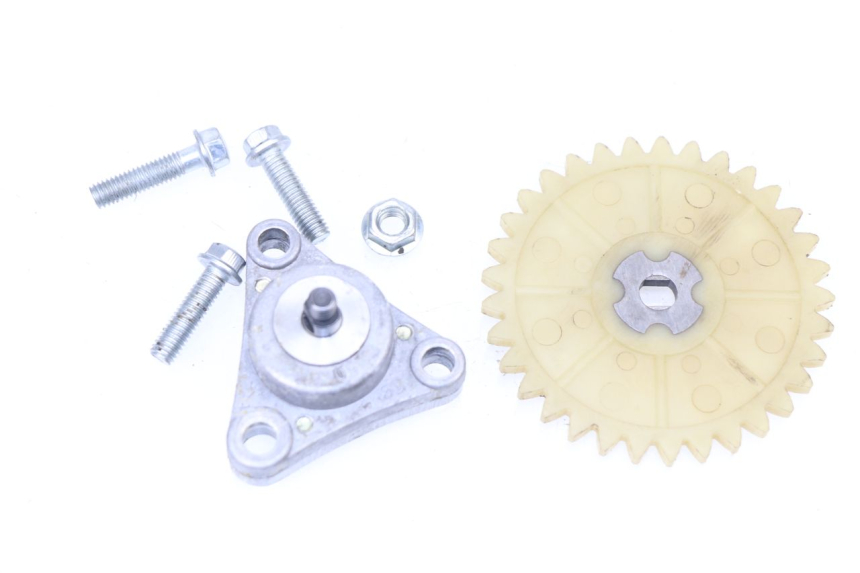 photo de OIL PUMP SAMPO LY50QT-21 50 (2009 - 2014)