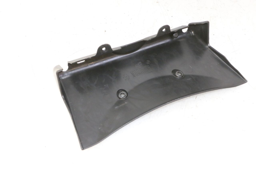 photo de LUGGAGE RACK PIAGGIO MP3 RL 250 (2007 - 2010)