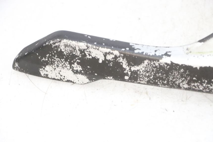 photo de LUGGAGE RACK DAELIM S1 125 (2007 - 2016) - Technical close-up