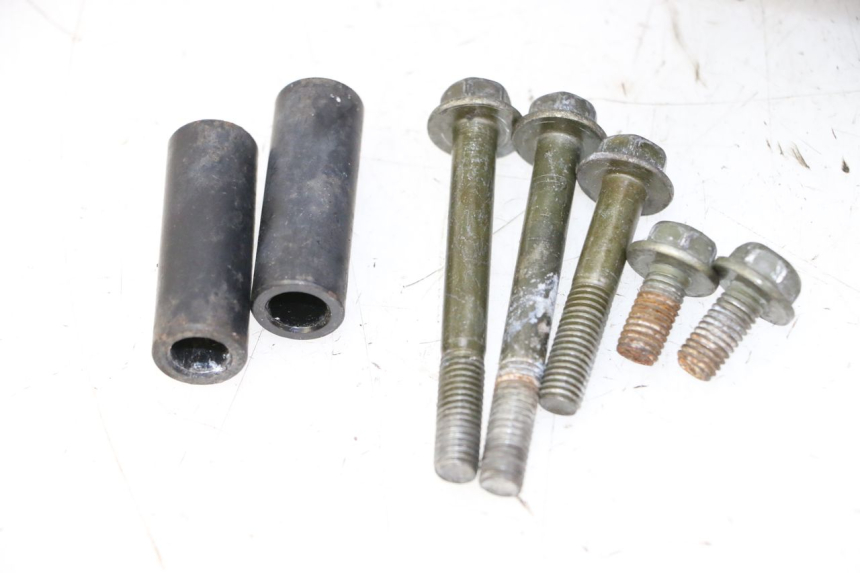 photo de LUGGAGE RACK PEUGEOT TWEET PRO CARGO 50 (2018 - 2020)