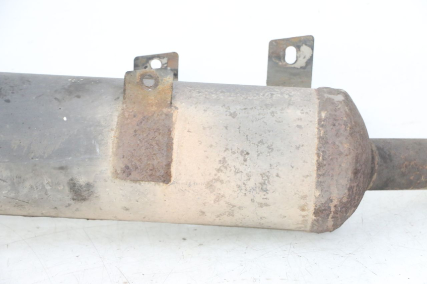 photo de EXHAUST QUADRO 4 4D 350 (2015 - 2018)