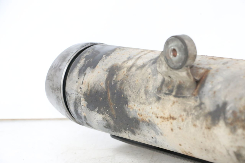 photo de EXHAUST PIPE SUZUKI BURGMAN 125 (2007 - 2014)