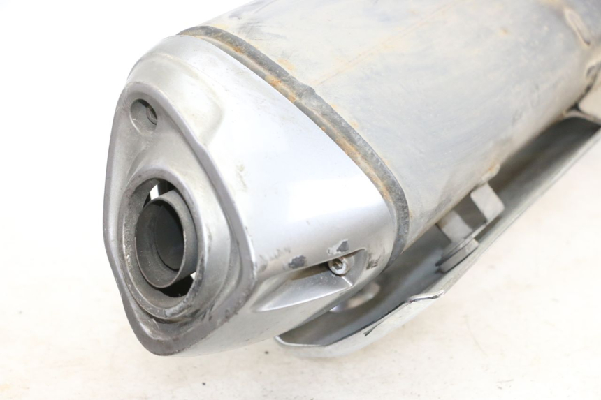 photo de EXHAUST SUZUKI BURGMAN 650 (2013 - 2020)