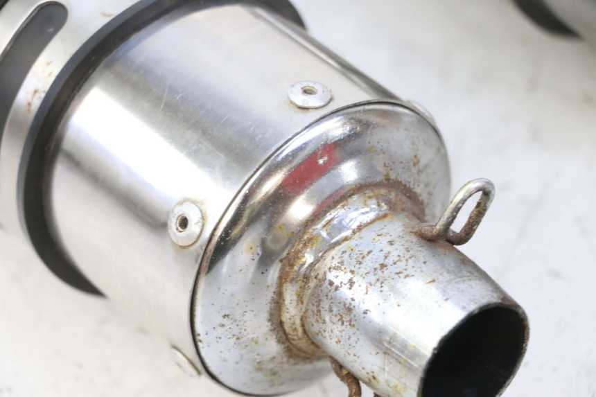 photo de EXHAUST SKYTEAM DAX REPLICA 110 (2005 - 2015)