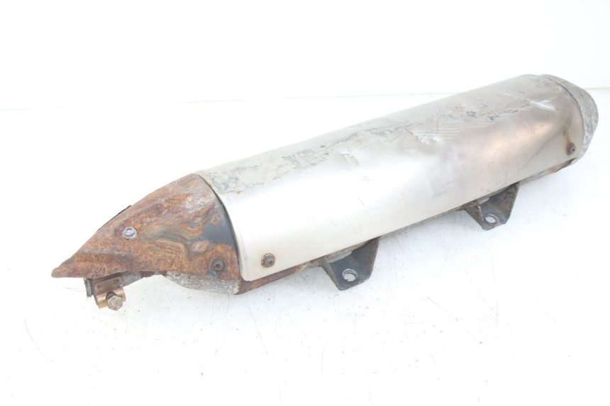 photo de EXHAUST PEUGEOT GEOPOLIS RS 125 (2007 - 2009)