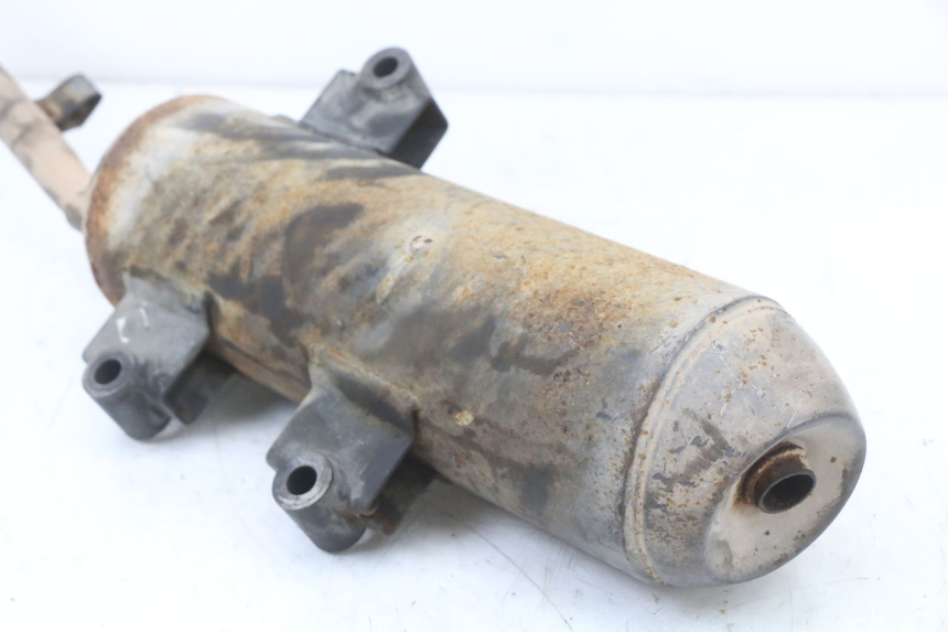 photo de EXHAUST LONGJIA EASY MAX 125 (2020 - 2024)