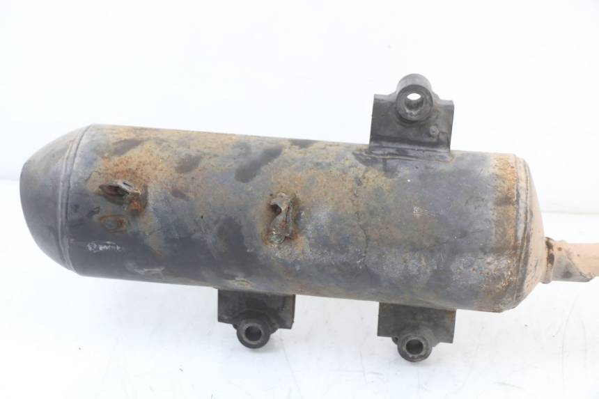 photo de EXHAUST LONGJIA EASY MAX 125 (2020 - 2024)